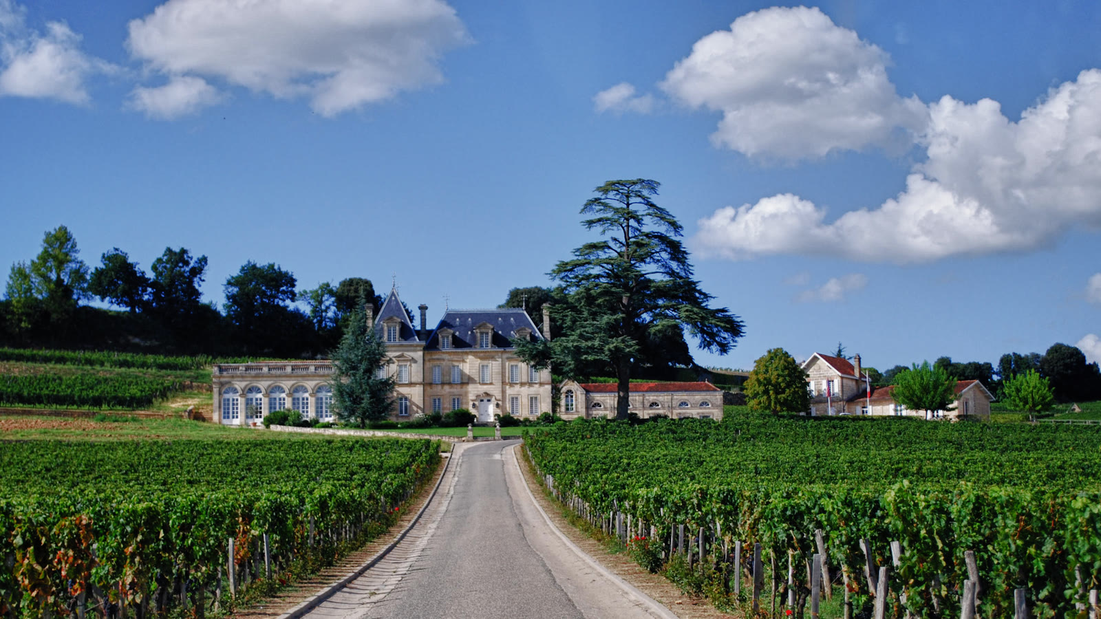 Château med vinmarker i Bordeaux