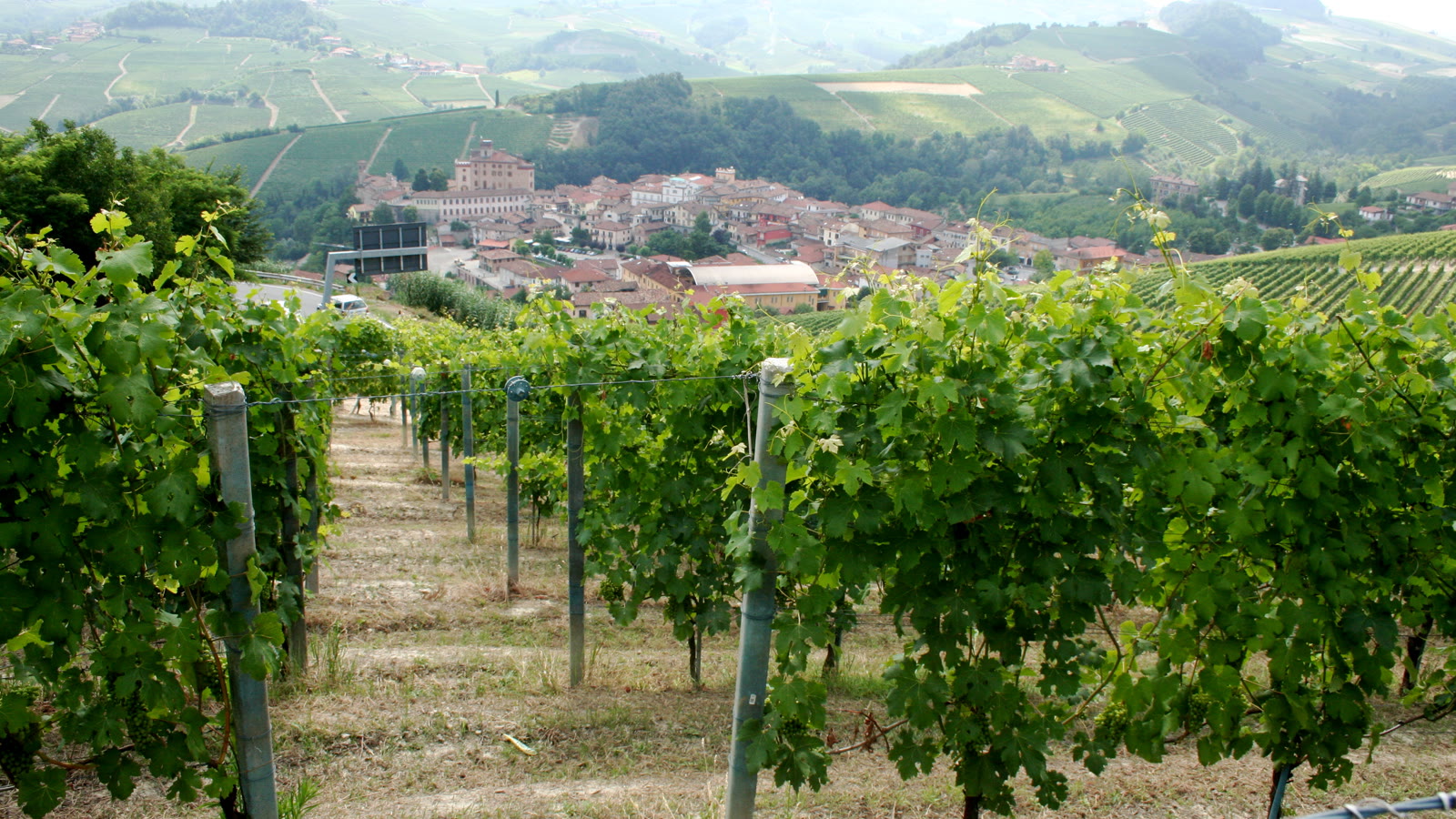 Vinmarker og landsby i Langhe, Piemonte