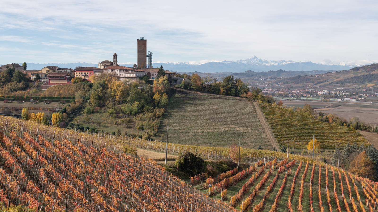 Landsbyen Barbaresco med sit middelaldertårn over efterårsfarvede nebbiolo-marker, Alperne i baggrunden